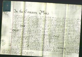 Court of Common Pleas - Elizabeth Jackson-Original Ancestry