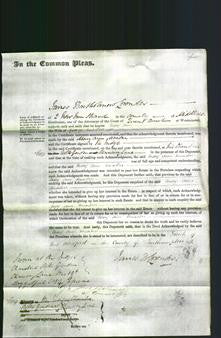Court of Common Pleas - Mary Ann Meaden-Original Ancestry