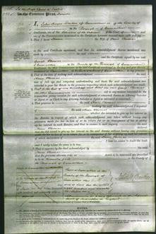 Court of Common Pleas - Anne Thomas-Original Ancestry