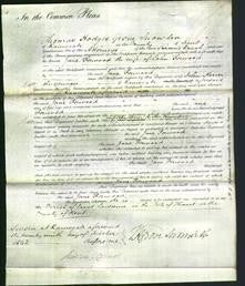 Court of Common Pleas - Jane Forwood-Original Ancestry