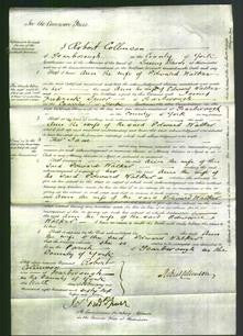 Court of Common Pleas - Ann Walker-Original Ancestry