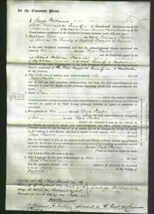 Court of Common Pleas - Eliza Preston-Original Ancestry