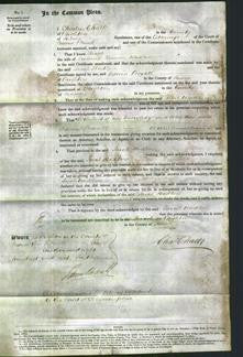 Court of Common Pleas - Sarah Hadlow-Original Ancestry