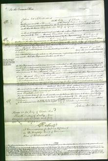 Court of Common Pleas - Elizabeth Johnson-Original Ancestry