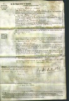 Court of Common Pleas - Thirza Briggs-Original Ancestry