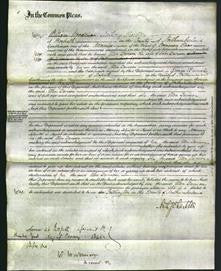 Court of Common Pleas - Ellen Davison-Original Ancestry