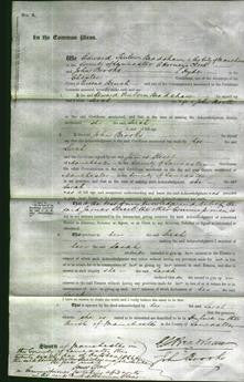 Court of Common Pleas - Sarah Booth-Original Ancestry