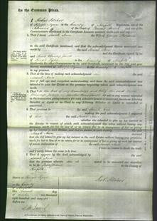 Court of Common Pleas - Sarah Ann Parsons-Original Ancestry