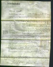 Court of Common Pleas - Harriet Lettle-Original Ancestry