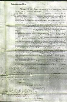 Court of Common Pleas - Maria Sophia Marsham-Original Ancestry