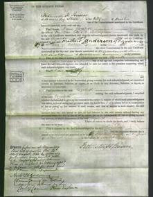 Court of Common Pleas - Dame Elizabeth Bellingham-Original Ancestry