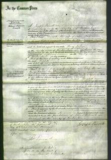 Court of Common Pleas - Elizabeth Clare-Original Ancestry