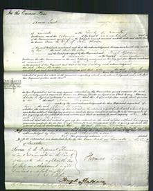 Court of Common Pleas - Ann Mason-Original Ancestry