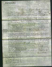 Court of Common Pleas - Mary Ann Greenhill-Original Ancestry