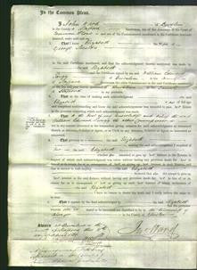 Court of Common Pleas - Elizabeth Shenton-Original Ancestry