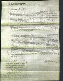 Court of Common Pleas - Jane Goodwill-Original Ancestry