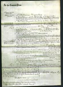 Court of Common Pleas - Elizabeth Wynn-Original Ancestry