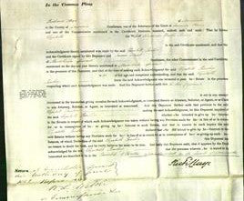 Court of Common Pleas - Elizabeth Rowley-Original Ancestry