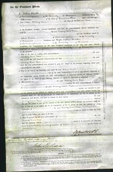 Court of Common Pleas - Mary Ann Law-Original Ancestry