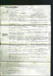 Court of Common Pleas - Mary Matthews and Elizabeth Busby-Original Ancestry