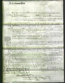 Court of Common Pleas - Jane Sybella Tylee-Original Ancestry