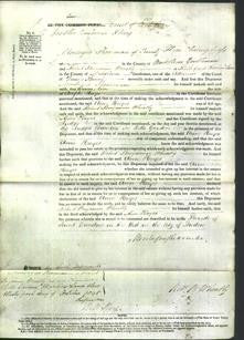 Court of Common Pleas - Ann Hayes-Original Ancestry