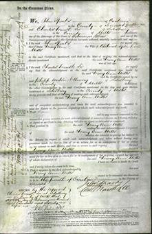 Court of Common Pleas - Mary Ann Wills-Original Ancestry