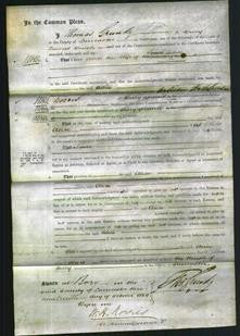 Court of Common Pleas - Alice Sudren-Original Ancestry