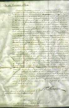 Court of Common Pleas - Maria Glanfield-Original Ancestry