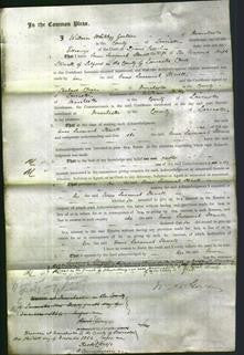 Court of Common Pleas - Anne Susannah Stowell-Original Ancestry