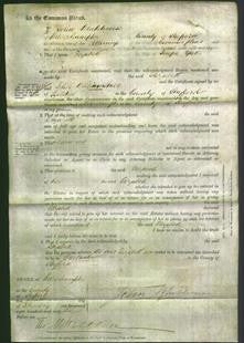 Court of Common Pleas - Elizabeth Yates-Original Ancestry