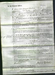 Court of Common Pleas - Jane Barrett-Original Ancestry