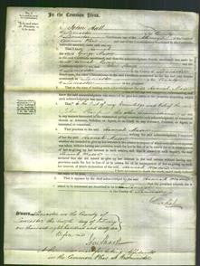 Court of Common Pleas - Hannah Mason-Original Ancestry