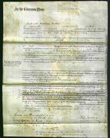 Court of Common Pleas - Mary Brewster-Original Ancestry