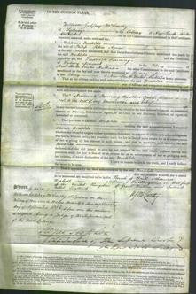 Court of Common Pleas - Matilda Agnew-Original Ancestry