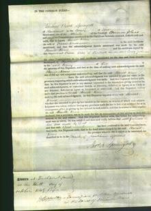 Court of Common Pleas - Harriet Reeves-Original Ancestry