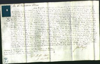 Court of Common Pleas - Sarah Hopley-Original Ancestry