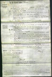 Court of Common Pleas - Betsy Carr-Original Ancestry