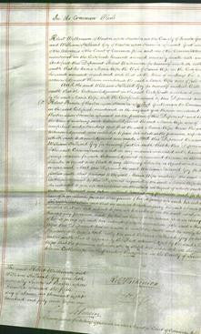 Court of Common Pleas - Maria Alpe-Original Ancestry