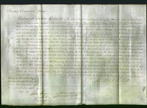Court of Common Pleas - Hannah Blandy-Original Ancestry