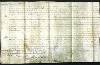 Court of Common Pleas - Ann Stoup-Original Ancestry