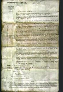 Court of Common Pleas - Harriet Niven-Original Ancestry