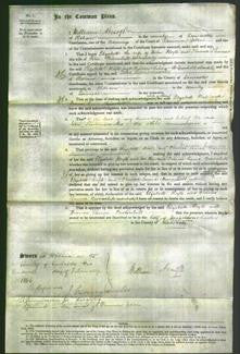 Court of Common Pleas - Elizabeth Hoyle and Frances Emma Brownhill-Original Ancestry