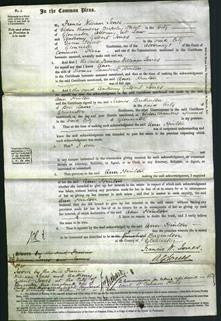 Court of Common Pleas - Ann Hinton-Original Ancestry