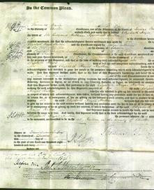 Court of Common Pleas - Elizabeth Hayes Hutton-Original Ancestry