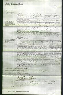 Court of Common Pleas - Mary Smith, Marsha Collins and Ruth Till-Original Ancestry