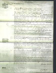 Court of Common Pleas - Lucy Gregory-Original Ancestry
