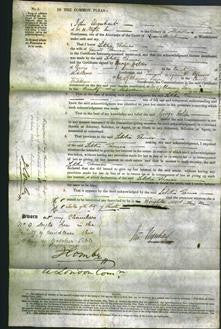 Court of Common Pleas - Letitia Thomas-Original Ancestry