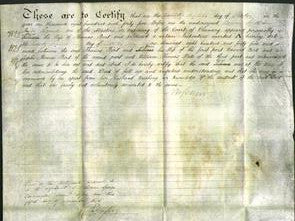 Deed by Married Women - Ann Bird-Original Ancestry