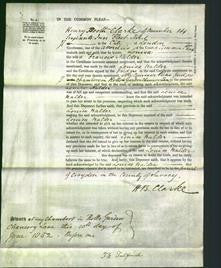 Court of Common Pleas - Louisa Nalder-Original Ancestry